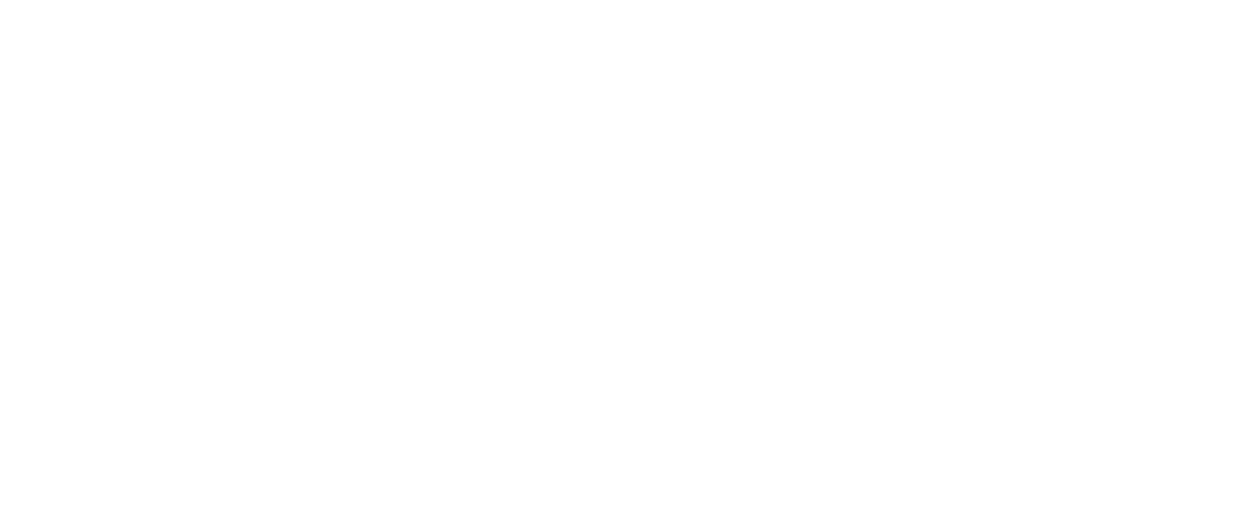The Designers Studio